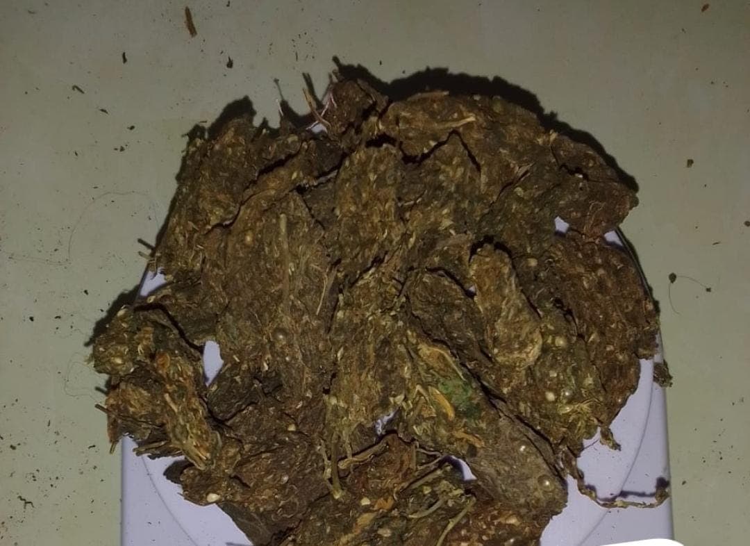 Indian Ganja
